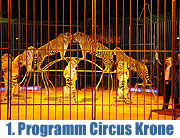 Winterspielzeit des Circus Krone - das erste Programm 2010 vom 25.12.2009 - 31.01.2010. Premiere am 1. Weihnachtstag 25.12.2009 mit vielen prominenten Gästen. Fotos & Video (Foto: Ingrid Grossmann)